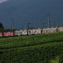 IMG 4079  Une UM de Re 420 de CFF Cargo (mais en livrée rouge) avec un train de marchandises dans les vignes entre Auvernier et Colombier