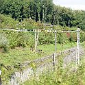 DSC13121  Sur la ligne du plateau, il reste encore un peu de caténaire qui date de l'électrification comme ici près de Neyruz...