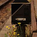 IMG 3080  Verdure ferroviaire