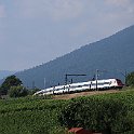 IMG 4075  Dans les vignes