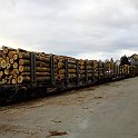 DSC00055  Transport de bois à Travers.