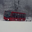 DSC11342  Dans la neige de février
