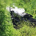 IMG 3124  Dans la verdure