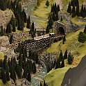 IMG 4137
