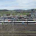 P1000443  GTW Thurbo au dépôt d'Oberwinterthur. Au fond, un flirt RABe 521 "Seehas" de SBB Gmbh pour l'exploitation des lignes en Allemagne.