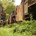 DSC19354  Plus de végétation que trains... un arbre pousse même au travers de la BR 58. Cette locomotive a fini sa carrière comme chaudière fixe avant de venir dans la collection d'Hermeskeil