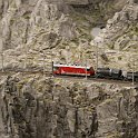 DSC23546  RhB