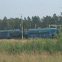 Divers wagons au triage de Zabrzeg Czarnolesie