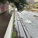 IMG 4620