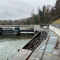 IMG 4621