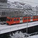 DSCF0212  Une mandarine dans la neige