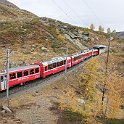 DSC20889  Entre Alp Grüm et Ospizio Bernina